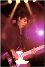 Elastica