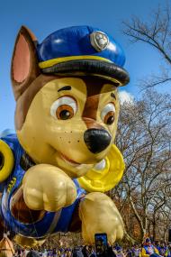 PAW Patrol